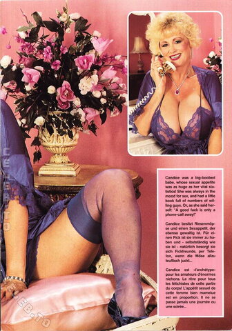 Vintage Erwachsenen Zeitschriften nude photo 4090