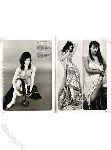 Vintage Erwachsenen Zeitschriften nude photo 1702