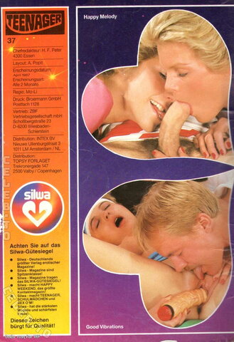 Vintage Erwachsenen Zeitschriften nude photo 809