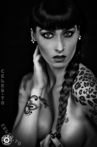 Wildcat Ink – And another bunch: Source Model directory