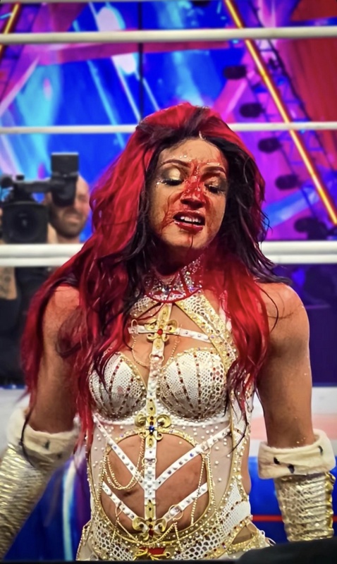 WWE nude photo 1