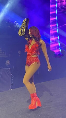 WWE nude photo 22