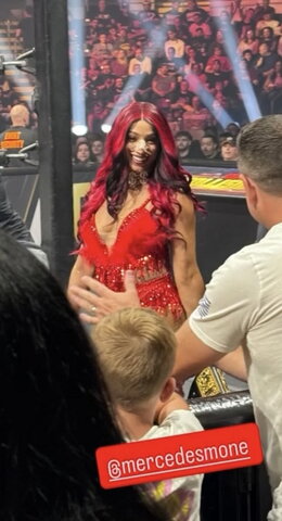 WWE nude photo 21