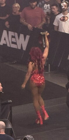 WWE nude photo 20