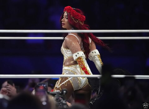WWE nude photo 16