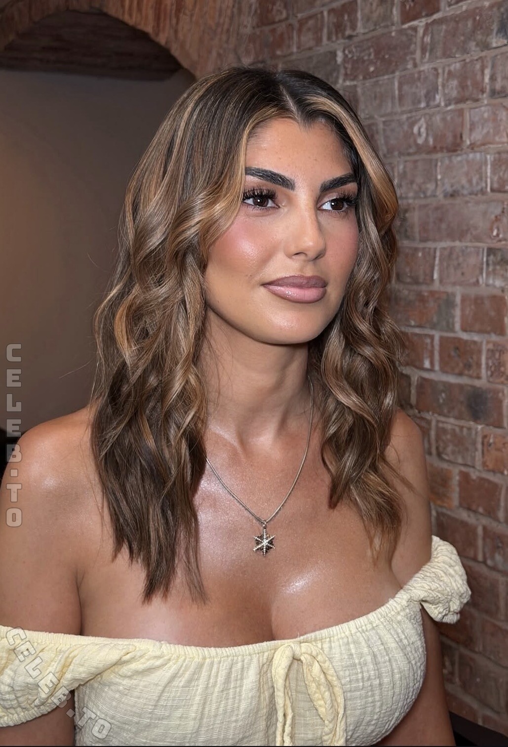Yeliz Koc nude photo 1