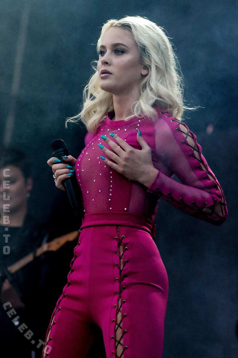 Zara Larsson nude photo 8