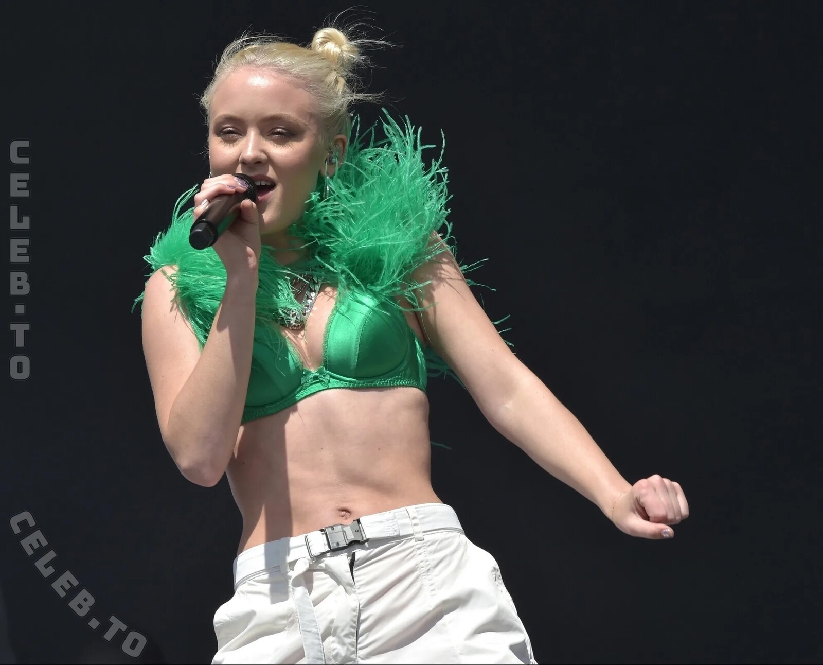 Zara Larsson nude photo 6