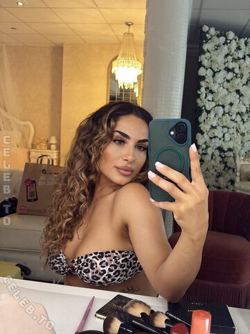 Zemine photo 2
