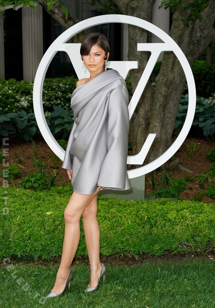 Zendaya nude photo 4