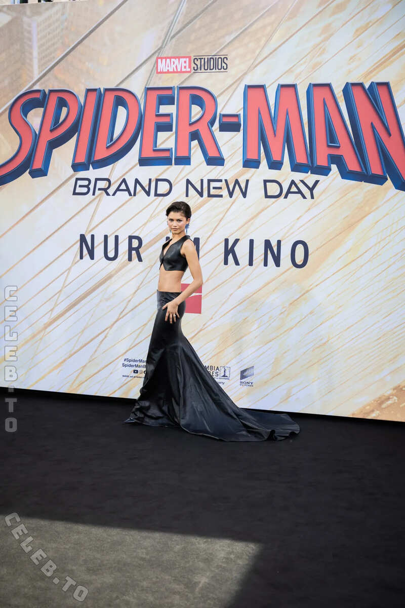Zendaya nude photo 5