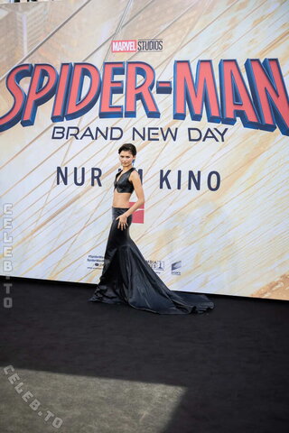 Zendaya nude photo 63