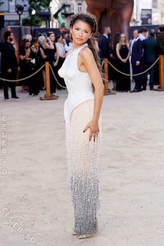 Zendaya nude photo 21