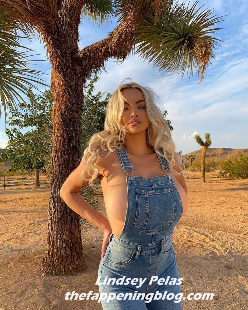 Lindsey-Pelas-_thefappening_one (1)