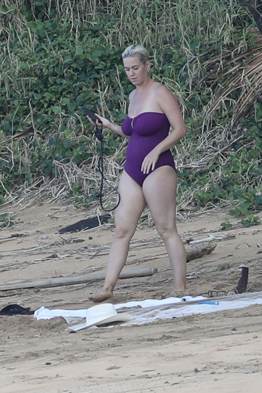 Katy Perry Nude Beach