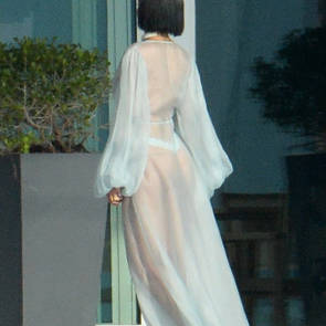 rihanna in see through dress showing thong