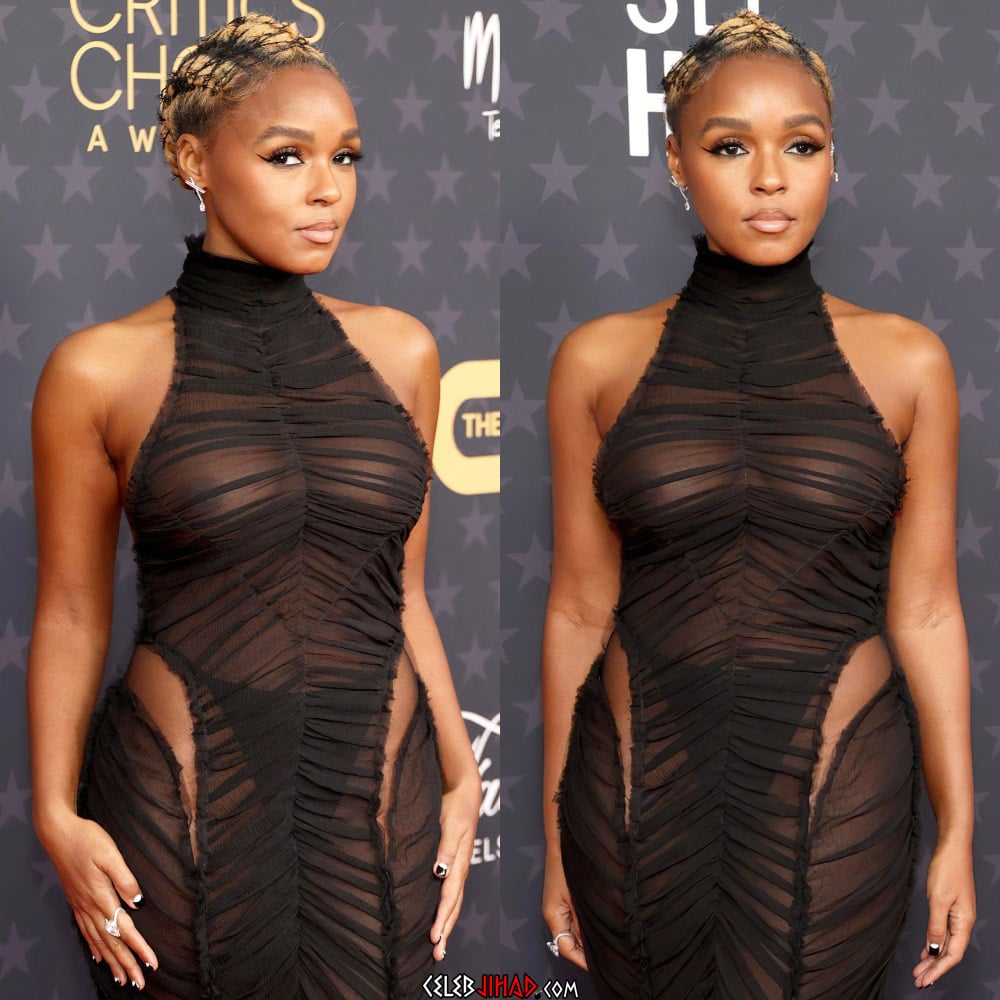 janelle-monae-s-big-wet-boobies-in-see-thru-tops-thefappening
