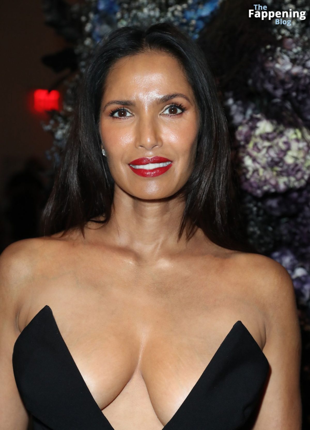 Padma Lakshmi Displays Her Sexy Breasts at the Christian Siriano Show (14 Photos)