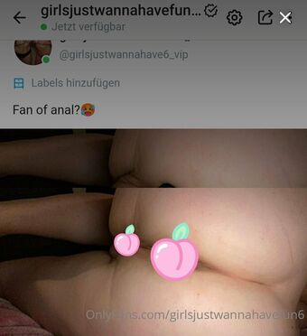 girlsjustwannahavefun6 Nude Leaks OnlyFans Photo 9