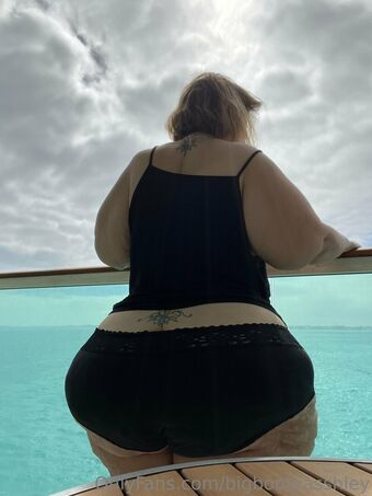 bigbootyasshley Nude Leaks OnlyFans Photo 14