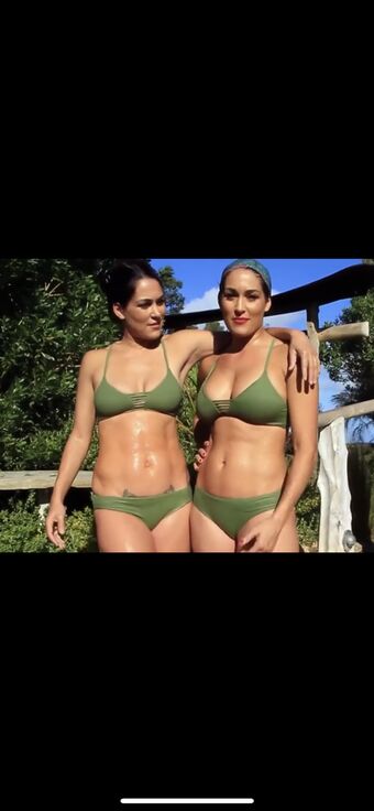 The Bella Twins Nude Leaks OnlyFans Photo 121