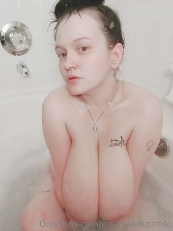 princessdustmfc Nude Leaks OnlyFans Photo 12