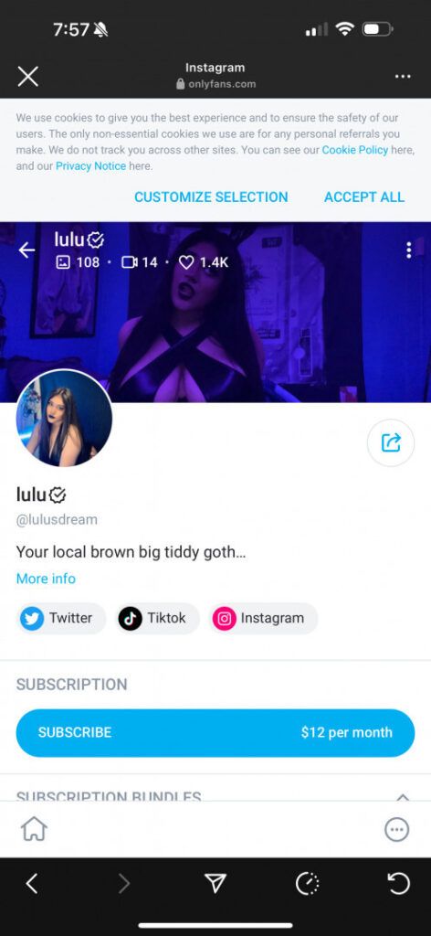 OnlyFans – TikTok – lulusdream – Nude