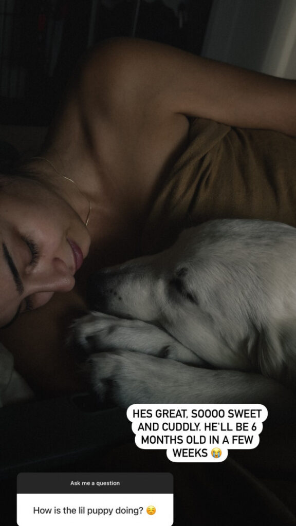 Twitch – NuFo – Nude