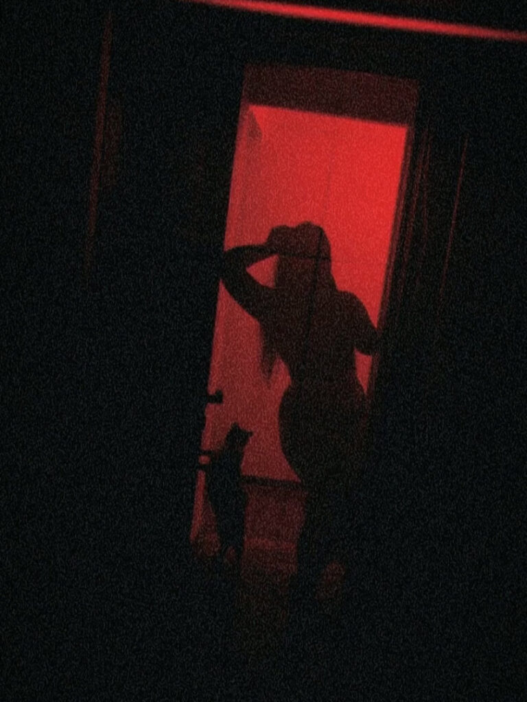 Brazil – Twitch – Feefag – Nude Leaks