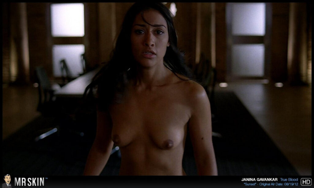 janina gavankar 0039