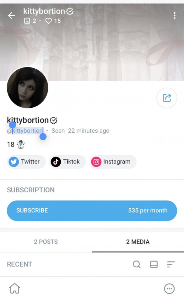 OnlyFans – TikTok – Instagram – Kittybortion / Vendevine / kittyb0rtion – Nude Leaks