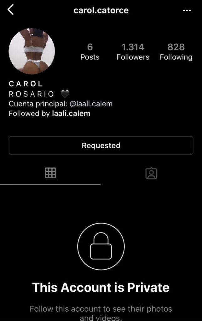 Instagram – Laali Calem (laali.calem), Carol Catorce (carol.catorce) – Nude