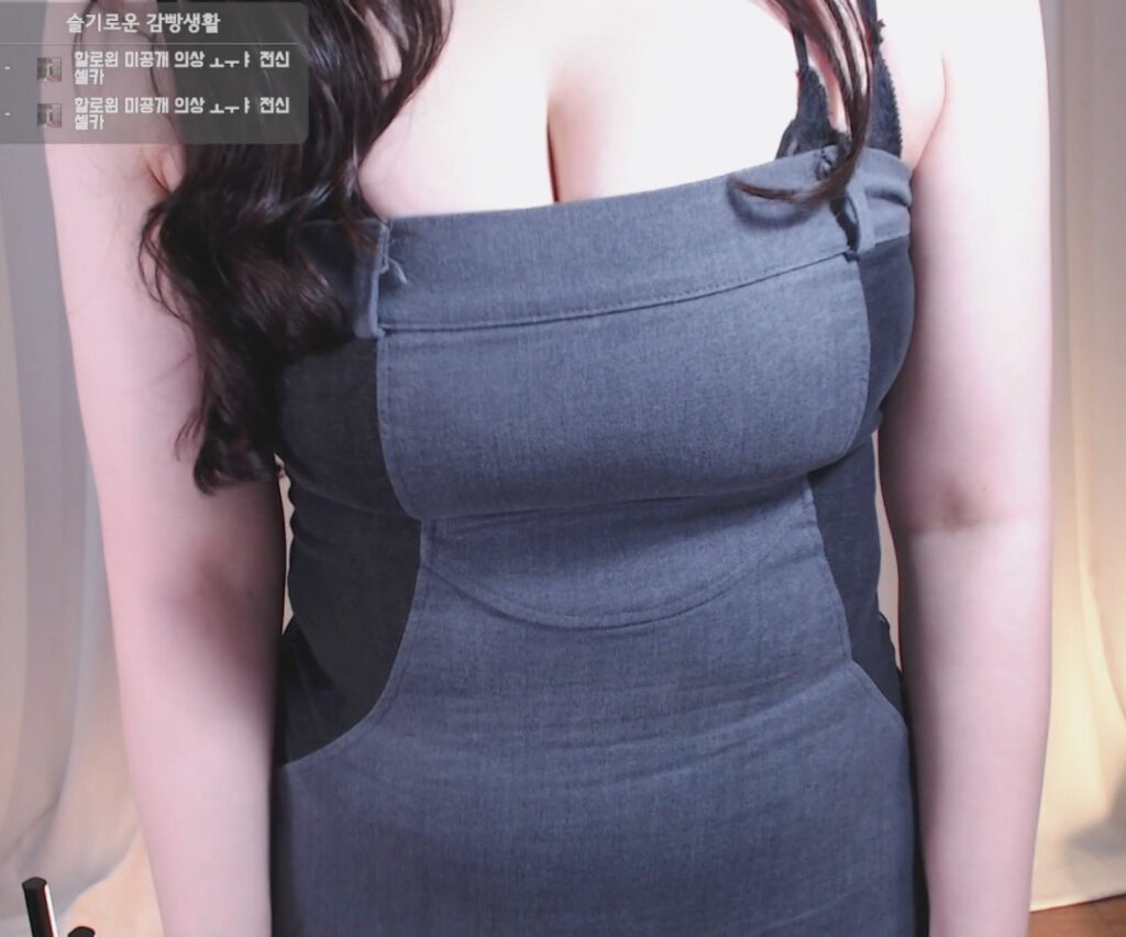 Twitch – afreecaᵀⱽ – Asian – nyang_nyang12 / re_zero_kara / nyang11 – Nude