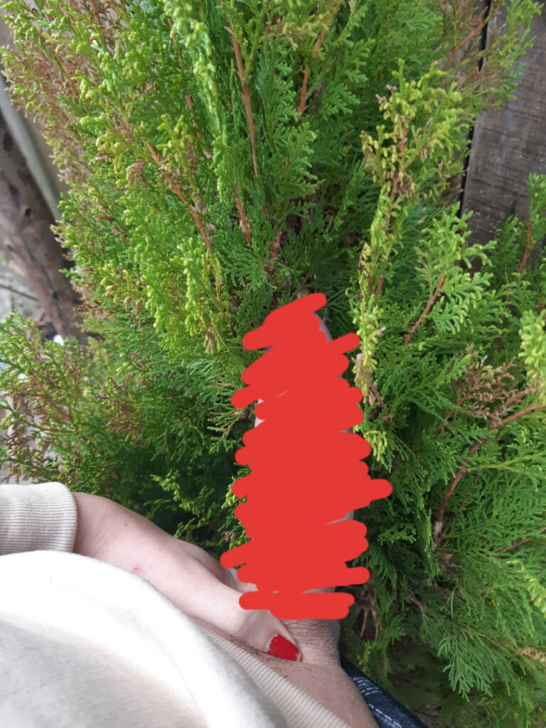 Brazil – Trans – OnlyFans – Cam Girls – Renatinhatrans – Nude Leaks