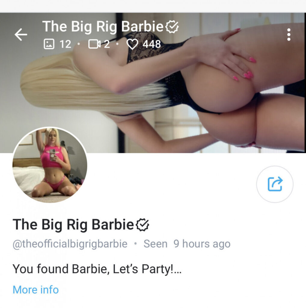 OnlyFans – Instagram – The Big Rig Barbie – Nude