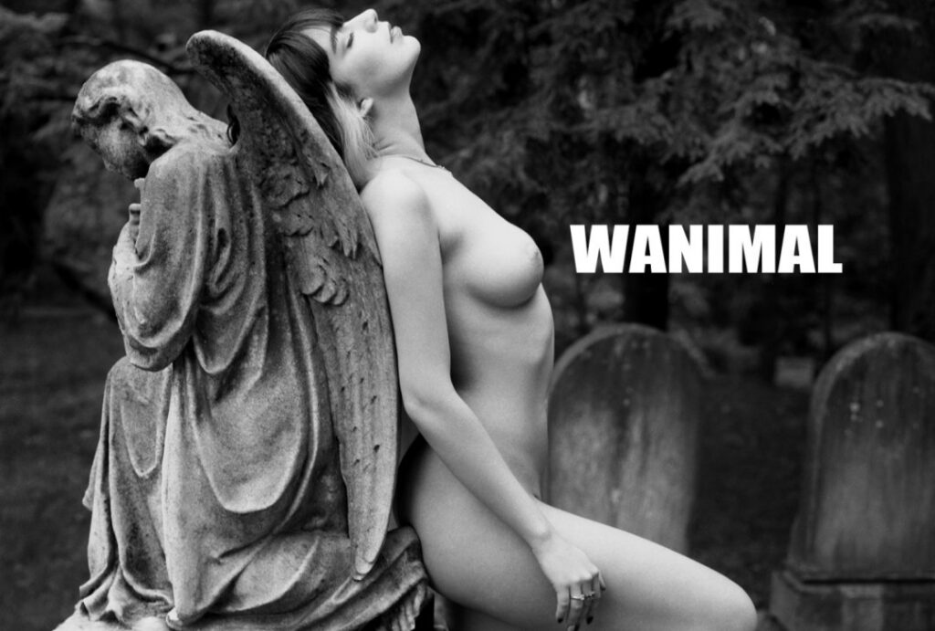 Asian – Wanimal models – Nude