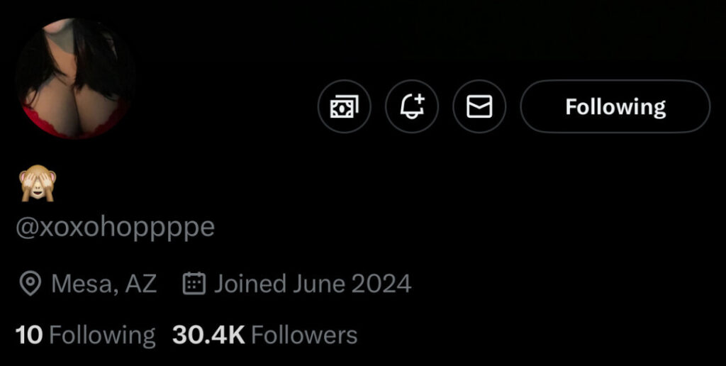 ⠀X⠀ – BBW – Latina – xoxohoppppe/ xoxosissalle/ xoxosalena / babylynnnsis – Nude Leaks