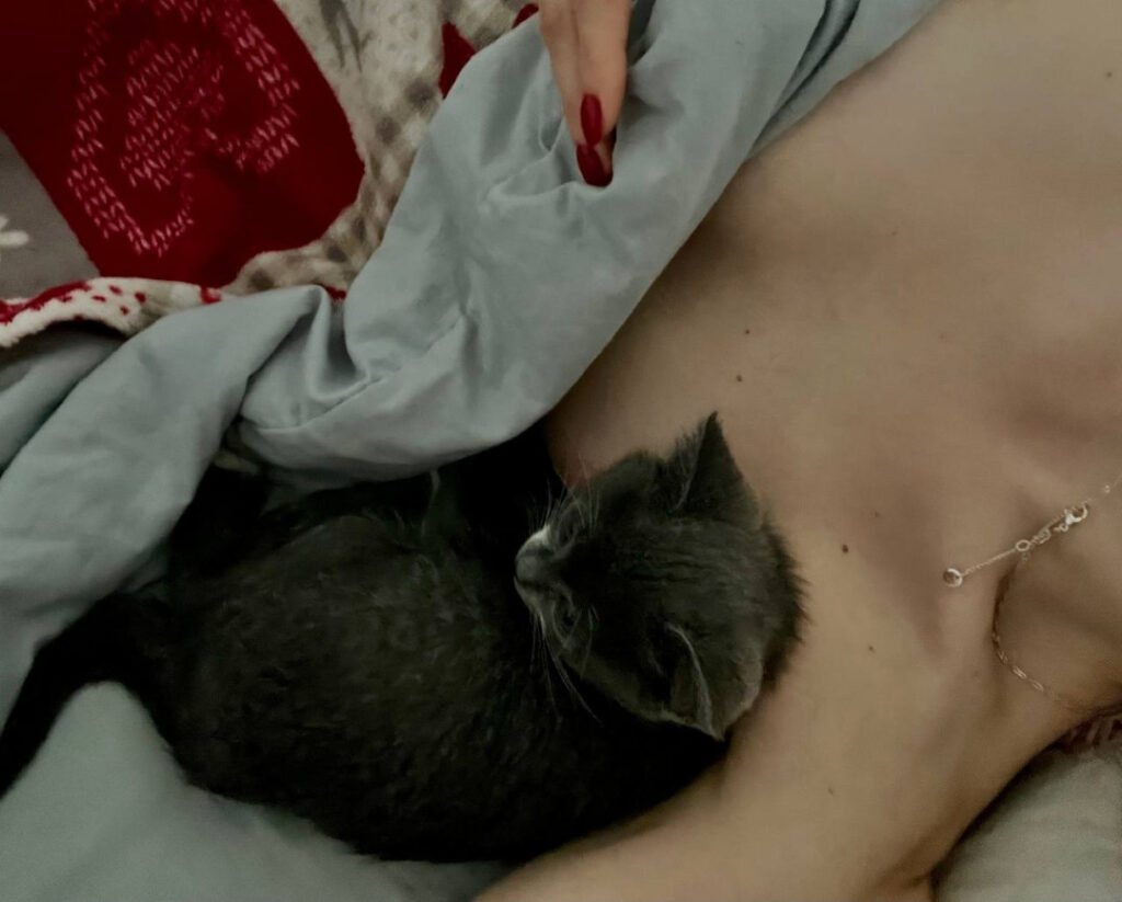 Twitch – Instagram – Teen – Alina_dln – Nude Leaks