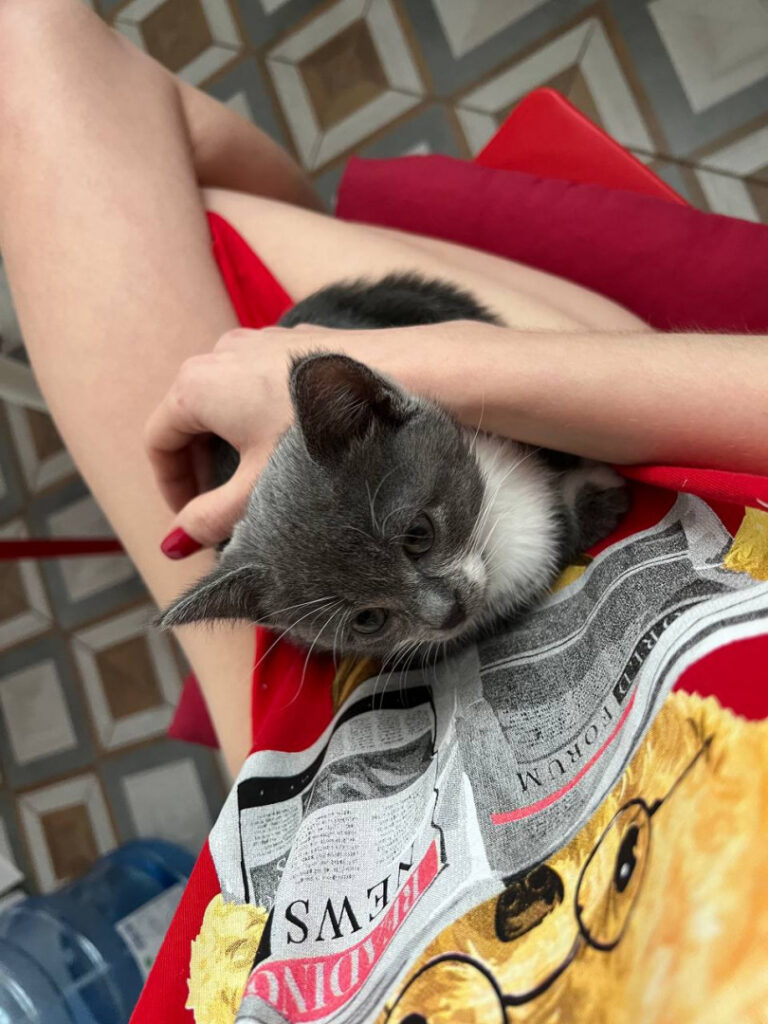 Twitch – Instagram – Teen – Alina_dln – Nude Leaks