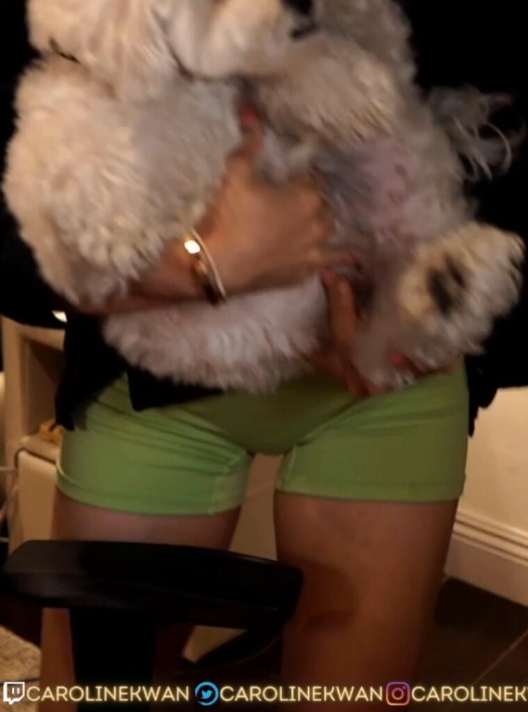 Twitch – Asian – CarolineKwan – Nude