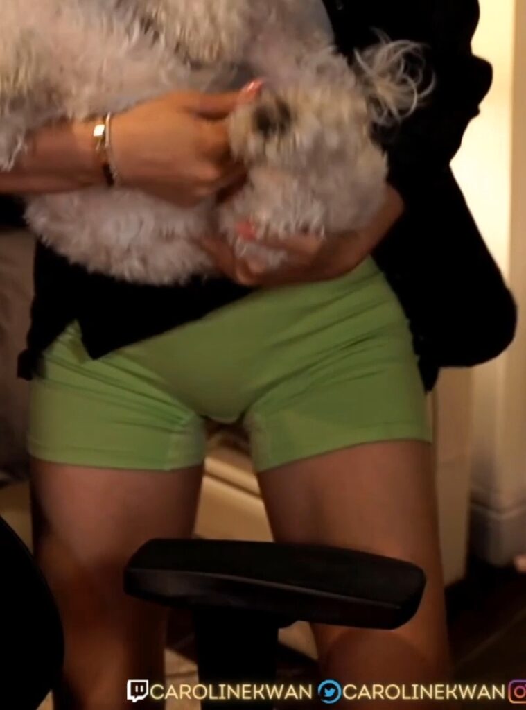 Twitch – Asian – CarolineKwan – Nude