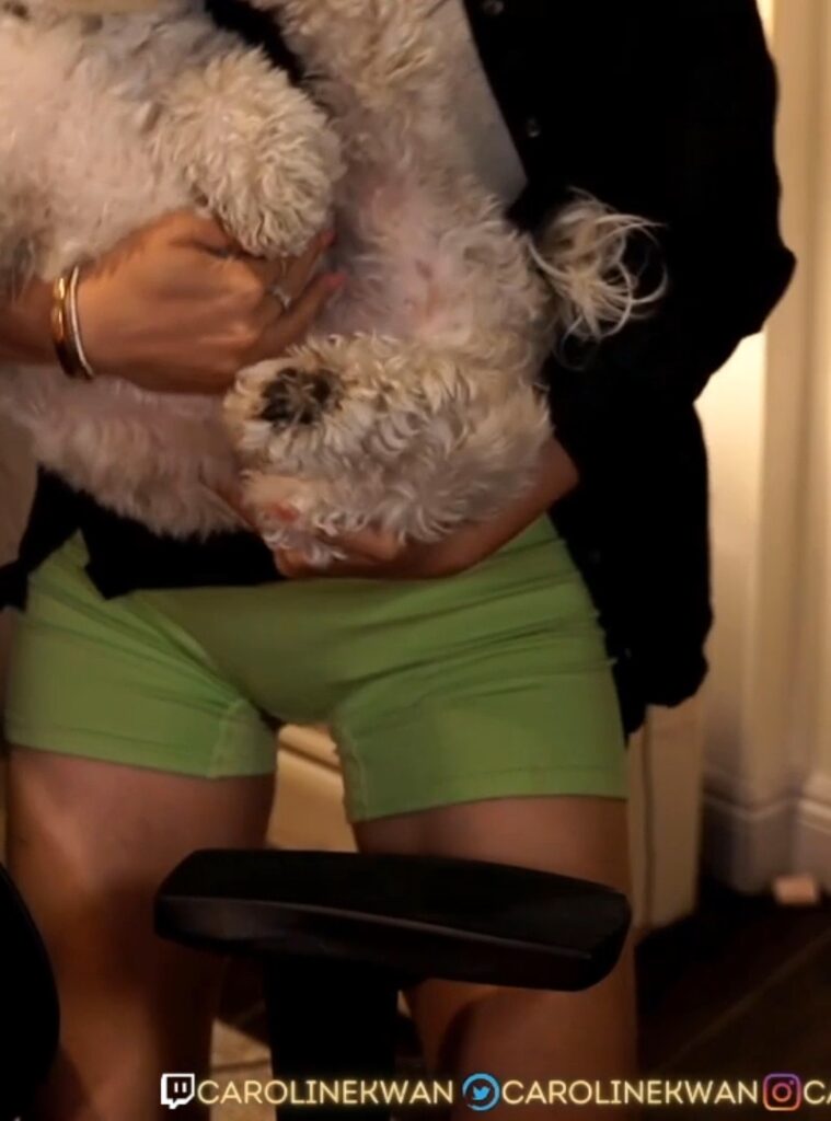 Twitch – Asian – CarolineKwan – Nude