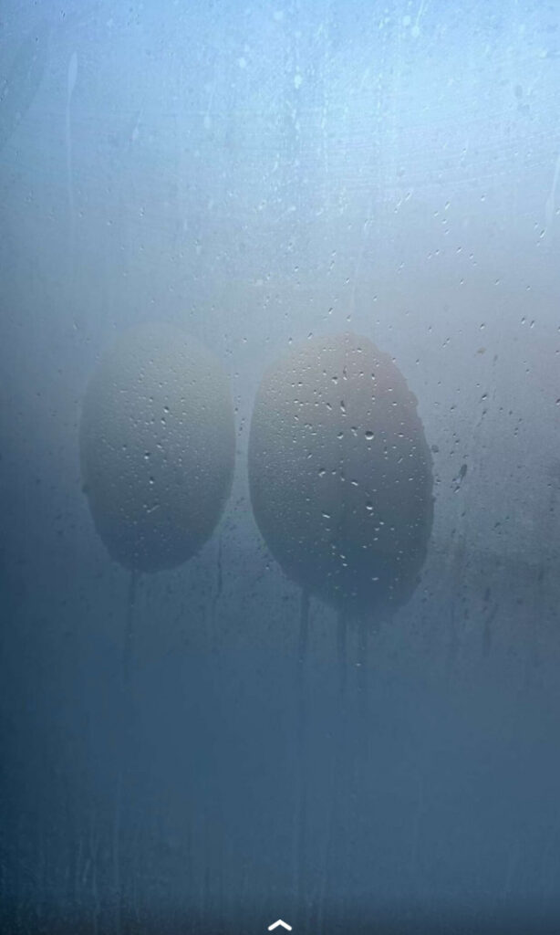 Instagram – ⠀X⠀ – Caryn marjorie – Nude Leaks