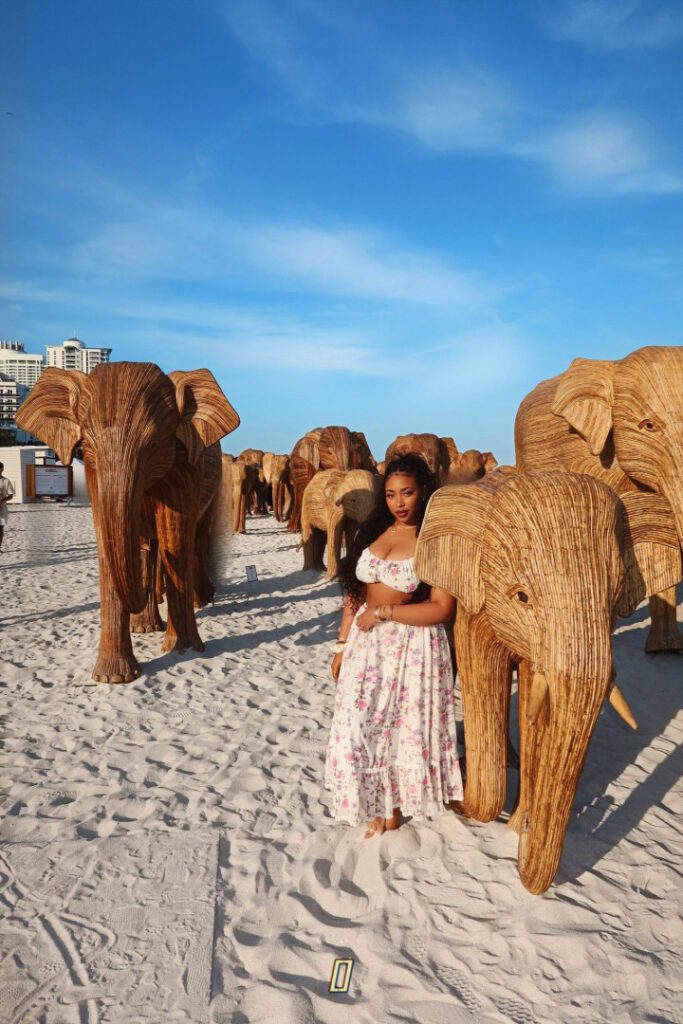 Instagram – Ebony – Chaotic Allure – Nude