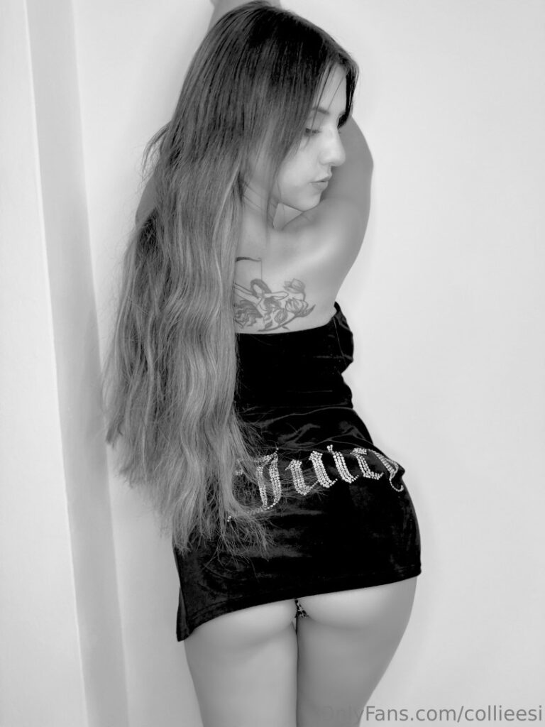 Patreon – Twitch – collieesi / colleesi11 / collie_twitch – Nude