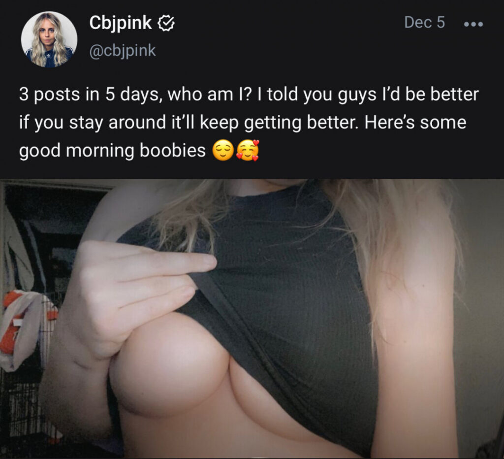 Twitch – OnlyFans – PinkCBJ – Nude Leaks