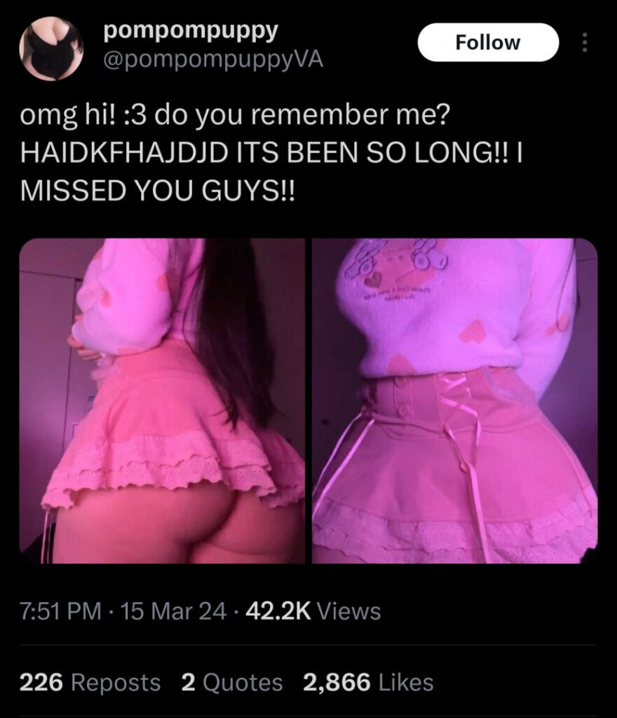 ASMR – Reddit – ⠀X⠀ – pompompuppy – Nude Leaks