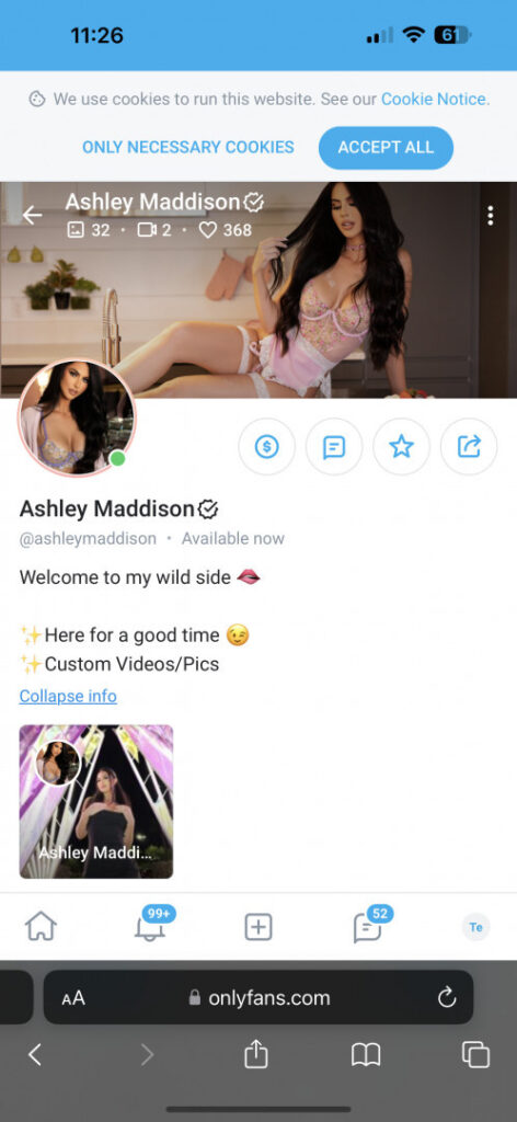 OnlyFans – Ashley Madison – Nude Leaks