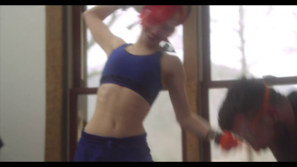 Celeb – Hayley Williams – Nude