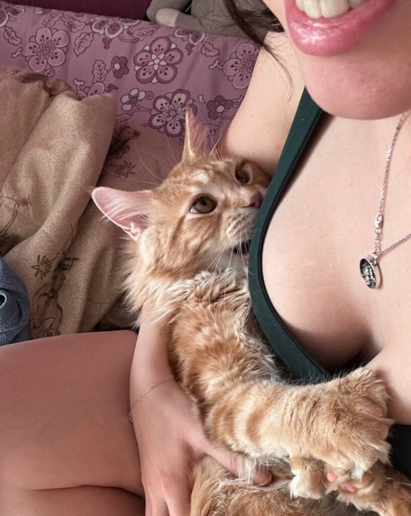 Twitch – TikTok – Boosty – KoryaMc – Nude Leaks